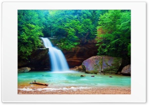 forest tree waterfall rock 4K UHD Wallpaper for Widescreen and UltraWide Desktop, UltraHD TV, Smartphone, Tablet