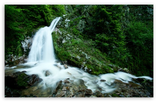 Forest Waterfall UltraHD Wallpaper for HD 16:9 ; Widescreen 16:10 5:3 ; Fullscreen 4:3 5:4 3:2 ; Tablet 1:1 ; Mobile 3:5 3:4 ; Dual 16:10 5:3 16:9 4:3 5:4 ;