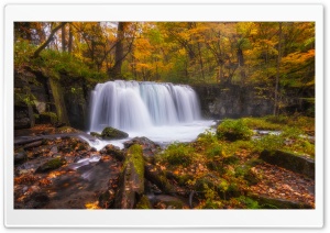 Forest Waterfall Autumn Ultra HD Wallpaper for 4K UHD Widescreen desktop, tablet & smartphone