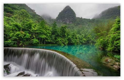 Forest waterfall - Waterfalls - Nature - Categories - Canvas Prints |  Wonder Wall