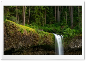 Forest, Waterfall, Nature Ultra HD Wallpaper for 4K UHD Widescreen desktop, tablet & smartphone