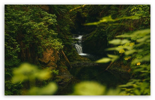 Forest Waterfall Scene UltraHD Wallpaper for UHD 16:9 ; HD 16:9 ; UltraWide 21:9 24:10 32:9 32:10 ; Widescreen 16:10 5:3 ; Fullscreen 4:3 5:4 3:2 ; Tablet 1:1 ; Mobile 9:16 9:19.5 9:20 9:21 9:22 10:16 2:3 3:5 3:4 ; Dual 16:10 5:3 16:9 4:3 5:4 3:2 ;