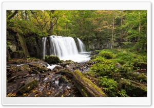 Forest Waterfalls, HDR Ultra HD Wallpaper for 4K UHD Widescreen desktop, tablet & smartphone
