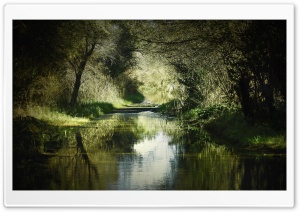 Forest Waterway Ultra HD Wallpaper for 4K UHD Widescreen desktop, tablet & smartphone