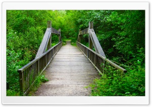 Forest Wooden Bridge Ultra HD Wallpaper for 4K UHD Widescreen desktop, tablet & smartphone