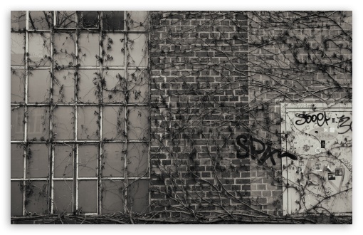 Forgotten UltraHD Wallpaper for UHD 16:9 ; HD 16:9 ; UltraWide 21:9 24:10 ; Widescreen 16:10 5:3 ; Fullscreen 4:3 ;