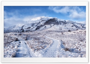 Fork In The Road Winter Landscape Ultra HD Wallpaper for 4K UHD Widescreen desktop, tablet & smartphone