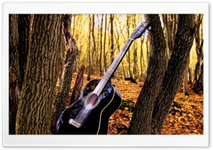 Forrest Guitar Ultra HD Wallpaper for 4K UHD Widescreen desktop, tablet & smartphone