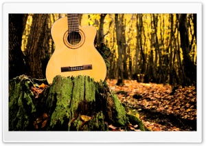 Forrest Guitar Ultra HD Wallpaper for 4K UHD Widescreen desktop, tablet & smartphone