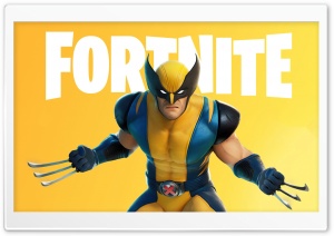 Fortnite Game Wolverine Skin Outfit Ultra HD Wallpaper for 4K UHD Widescreen desktop, tablet & smartphone