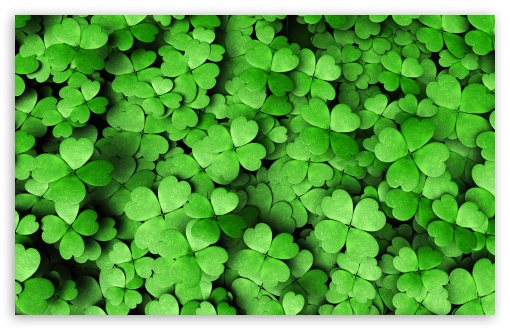 four leaf clover desktop wallpaper