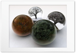 Four Seasons - Trees In Glass Balls Ultra HD Wallpaper for 4K UHD Widescreen desktop, tablet & smartphone