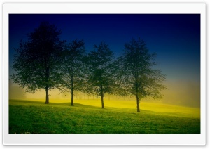 Four Trees Ultra HD Wallpaper for 4K UHD Widescreen desktop, tablet & smartphone