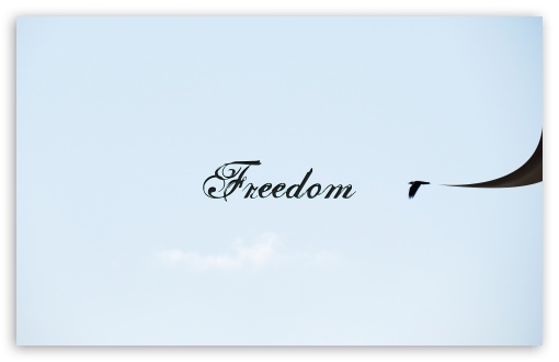 Freedom UltraHD Wallpaper for Wide 16:10 5:3 Widescreen WHXGA WQXGA WUXGA WXGA WGA ; 8K UHD TV 16:9 Ultra High Definition 2160p 1440p 1080p 900p 720p ; UHD 16:9 2160p 1440p 1080p 900p 720p ; Standard 4:3 5:4 3:2 Fullscreen UXGA XGA SVGA QSXGA SXGA DVGA HVGA HQVGA ( Apple PowerBook G4 iPhone 4 3G 3GS iPod Touch ) ; Tablet 1:1 ; iPad 1/2/Mini ; Mobile 4:3 5:3 3:2 16:9 5:4 - UXGA XGA SVGA WGA DVGA HVGA HQVGA ( Apple PowerBook G4 iPhone 4 3G 3GS iPod Touch ) 2160p 1440p 1080p 900p 720p QSXGA SXGA ; Dual 16:10 5:3 16:9 4:3 5:4 WHXGA WQXGA WUXGA WXGA WGA 2160p 1440p 1080p 900p 720p UXGA XGA SVGA QSXGA SXGA ;