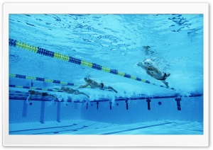 Freestyle Swimming Ultra HD Wallpaper for 4K UHD Widescreen desktop, tablet & smartphone