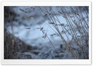 Freezing... Ultra HD Wallpaper for 4K UHD Widescreen desktop, tablet & smartphone