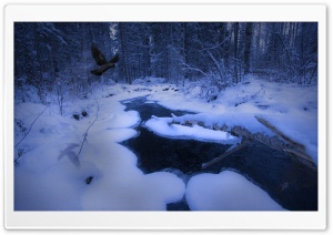 Freezing Stream Ultra HD Wallpaper for 4K UHD Widescreen desktop, tablet & smartphone