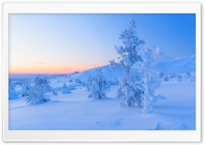 Freezing Winter Ultra HD Wallpaper for 4K UHD Widescreen desktop, tablet & smartphone