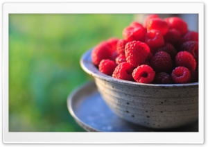 Fresh Raspberries Ultra HD Wallpaper for 4K UHD Widescreen desktop, tablet & smartphone