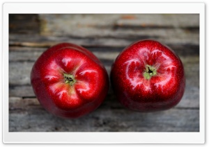 Fresh Red Apple Ultra HD Wallpaper for 4K UHD Widescreen desktop, tablet & smartphone