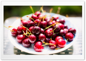 Fresh Red Cherries on Plate Ultra HD Wallpaper for 4K UHD Widescreen desktop, tablet & smartphone