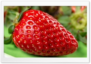 Fresh, Red, Ripe, Strawberry, Spring, Sweet, Macro, Organic, 4K UHD Wallpaper for Widescreen and UltraWide Desktop, UltraHD TV, Smartphone, Tablet