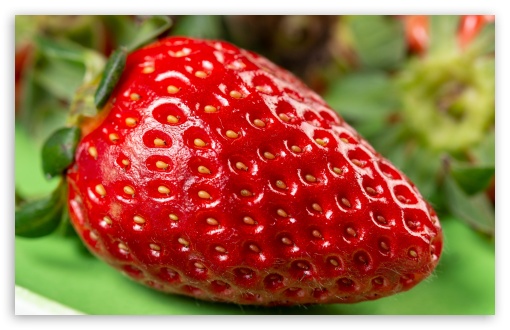 Fresh, Red, Ripe, Strawberry, Spring, Sweet, Macro, Organic, UltraHD Wallpaper for UHD 16:9 ; HD 16:9 ; Widescreen 16:10 5:3 ; Fullscreen 4:3 5:4 3:2 ;