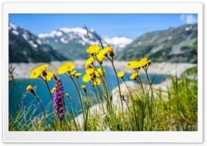 Fresh Spring Air Ultra HD Wallpaper for 4K UHD Widescreen desktop, tablet & smartphone