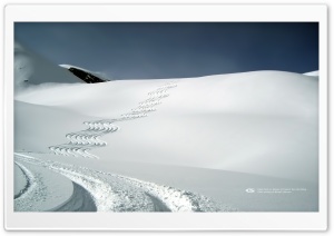Fresh Tracks on Waimea Ultra HD Wallpaper for 4K UHD Widescreen desktop, tablet & smartphone