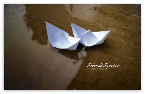 Friends forever everlasting friendship conceptual Vector Image