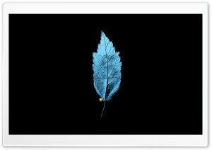 Fringe TV Series   A Leaf With An Embedded Isosceles Triangle Ultra HD Wallpaper for 4K UHD Widescreen desktop, tablet & smartphone