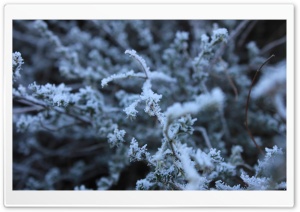 Frost Ultra HD Wallpaper for 4K UHD Widescreen desktop, tablet & smartphone