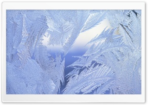 Frosted Window Close Up Ultra HD Wallpaper for 4K UHD Widescreen desktop, tablet & smartphone