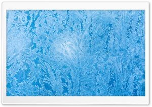 Frozen Ice Flowers on Window Glass Ultra HD Wallpaper for 4K UHD Widescreen desktop, tablet & smartphone