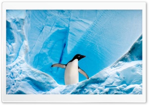 Frozen Landscape Ultra HD Wallpaper for 4K UHD Widescreen desktop, tablet & smartphone