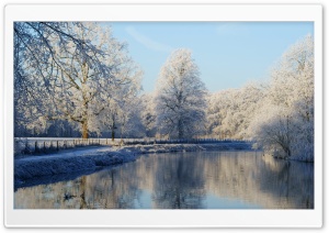 Frozen Mist Ultra HD Wallpaper for 4K UHD Widescreen desktop, tablet & smartphone