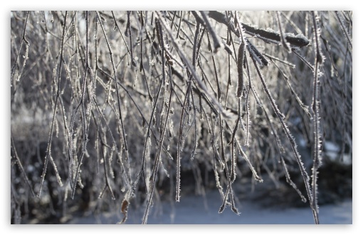 Frozen Nature UltraHD Wallpaper for UHD 16:9 ; HD 16:9 ; Widescreen 16:10 5:3 ; Fullscreen 4:3 5:4 3:2 ; Tablet 1:1 ; Mobile 3:5 3:4 ;