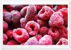 Frozen Red Berries Ultra HD Wallpaper for 4K UHD Widescreen desktop, tablet & smartphone