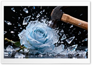 Frozen Rose smashed by Hammer 4K UHD Wallpaper for Widescreen and UltraWide Desktop, UltraHD TV, Smartphone, Tablet