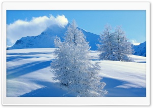 Frozen Spruces Mountains Ultra HD Wallpaper for 4K UHD Widescreen desktop, tablet & smartphone