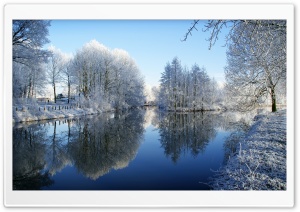 Frozen Trees Reflected In Water Ultra HD Wallpaper for 4K UHD Widescreen desktop, tablet & smartphone