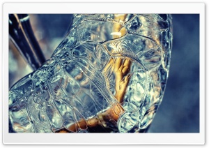 Frozen Twig Macro Ultra HD Wallpaper for 4K UHD Widescreen desktop, tablet & smartphone