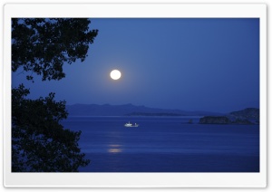 Full Moon Night Ultra HD Wallpaper for 4K UHD Widescreen desktop, tablet & smartphone