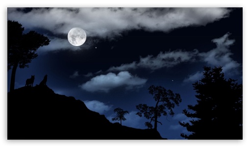 Full moon over the forest UltraHD Wallpaper for 8K UHD TV 16:9 Ultra High Definition 2160p 1440p 1080p 900p 720p ;