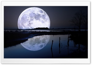 Full Moon Reflection Ultra HD Wallpaper for 4K UHD Widescreen desktop, tablet & smartphone
