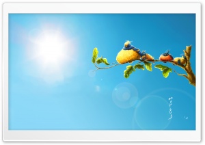 Funny Birds Ultra HD Wallpaper for 4K UHD Widescreen desktop, tablet & smartphone