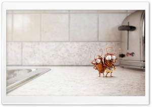 Funny Cute Cockroaches 3D Ultra HD Wallpaper for 4K UHD Widescreen desktop, tablet & smartphone