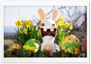 Funny Easter Bunny Ultra HD Wallpaper for 4K UHD Widescreen desktop, tablet & smartphone