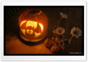Funny Jack O Lantern Ultra HD Wallpaper for 4K UHD Widescreen desktop, tablet & smartphone