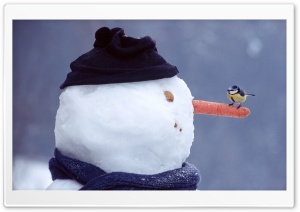 Funny Snowman Ultra HD Wallpaper for 4K UHD Widescreen desktop, tablet & smartphone